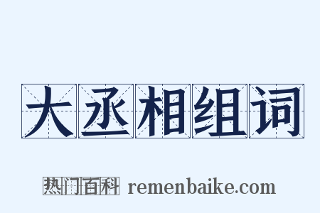 大丞相组词是什么意思的图片